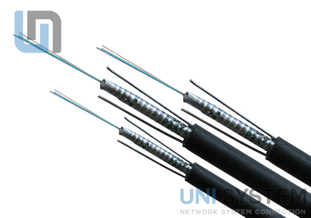 Cáp quang 4FO/12Fo GYXTW