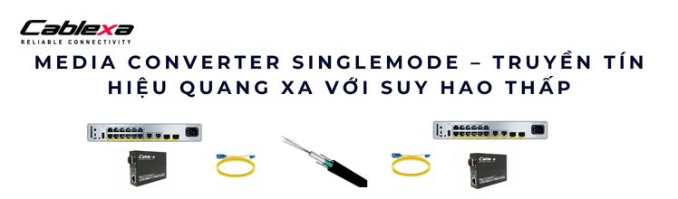 Media Converter Singlemode
