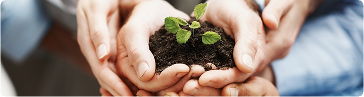 Giá trị cốt lõi - Siêu Thị Mạng Giá trị cốt lõi - Siêu Thị Mạng