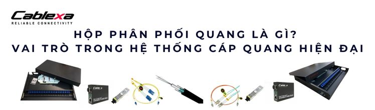 Hộp phân phối quang là gì