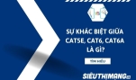 Sự khác biệt giữa CAT5E, CAT6 và CAT6A là gì?