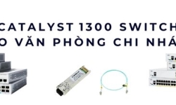Catalyst 1300 switch cho văn phòng chi nhánh – Kết nối ổn định, quản lý dễ dàng