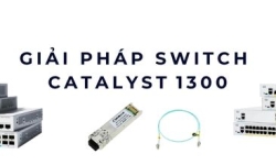 Giải pháp switch Catalyst 1300 – Hiệu suất mạnh mẽ cho doanh nghiệp