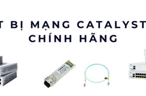 Thiết bị mạng Catalyst 1300 chính hãng – Hàng hiếm, bảo hành chuẩn Cisco