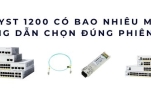 Catalyst 1200 – Danh sách model và cách chọn phiên bản phù hợp