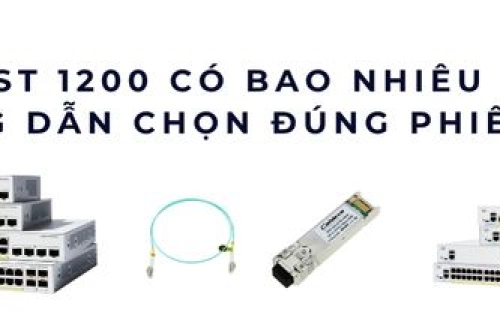 Catalyst 1200 – Danh sách model và cách chọn phiên bản phù hợp