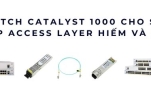 Switch Catalyst 1000 cho SMB – Giải pháp Access Layer hiếm và hiệu quả