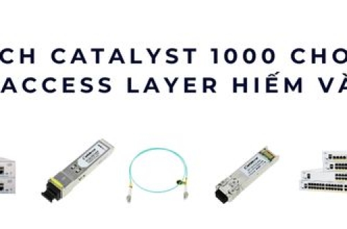 Switch Catalyst 1000 cho SMB – Giải pháp Access Layer hiếm và hiệu quả
