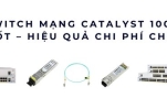 Switch mạng Catalyst 1000 giá tốt – Giải pháp tối ưu cho văn phòng SMB