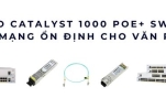 Cisco Catalyst 1000 PoE+ Switch – Giải pháp mạng ổn định cho văn phòng SMB