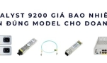 Cisco Catalyst 9200 giá bao nhiêu? Hướng dẫn chọn đúng model cho doanh nghiệp