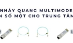 Dây nhảy quang Multimode OM3 – Giải pháp kết nối 10G/40G ổn định cho Data Center