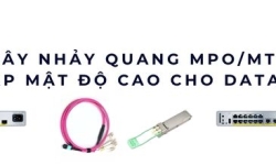Dây nhảy quang MPO/MTP – Giải pháp kết nối mật độ cao Data Center