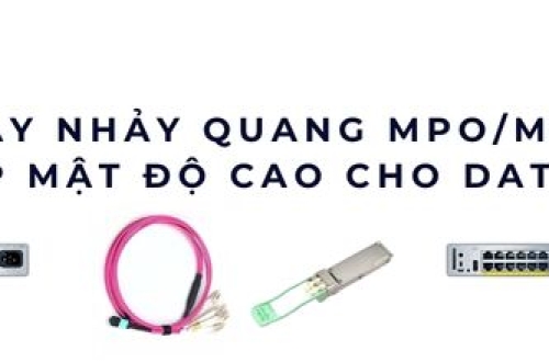 Dây nhảy quang MPO/MTP – Giải pháp kết nối mật độ cao Data Center