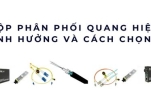 Giá hộp phân phối quang 2025 mới nhất – Yếu tố ảnh hưởng và cách chọn phù hợp