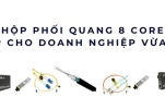 Hộp phối quang 8 core – Giải pháp tối ưu cho mạng doanh nghiệp vừa