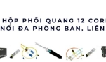 Hộp phối quang 12 core – Giải pháp kết nối đa phòng ban, liên tầng