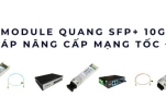 Module quang SFP+ 10G – Nâng cấp tốc độ mạng doanh nghiệp hiện đại