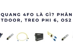 Cáp quang 4FO – Giải pháp truyền dẫn 4 sợi cho camera & liên kết tòa nhà