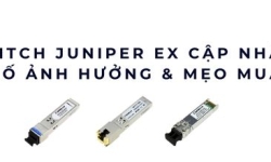 Giá Switch Juniper EX cập nhật 2025 – Yếu tố ảnh hưởng & mẹo mua tốt