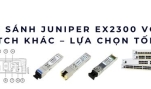 So sánh Juniper EX2300 với các switch khác – Lựa chọn tối ưu 2025