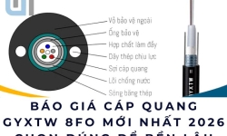 Báo giá cáp quang GYXTW 8FO mới nhất 2026 | Chọn đúng để bền lâu