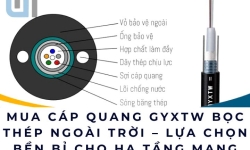 Mua cáp quang GYXTW bọc thép ngoài trời – Lựa chọn bền bỉ cho hạ tầng mạng