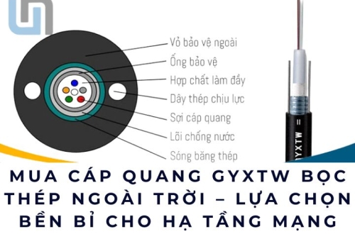 Mua cáp quang GYXTW bọc thép ngoài trời – Lựa chọn bền bỉ cho hạ tầng mạng