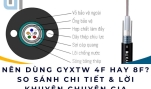Nên dùng GYXTW 4F hay 8F? So sánh chi tiết & lời khuyên chuyên gia