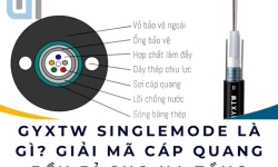 GYXTW singlemode là gì? Giải mã cáp quang bền bỉ cho hạ tầng mạng