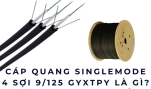 Cáp quang Singlemode 4 sợi 9/125 GYXTPY là gì? Ứng dụng thực tế