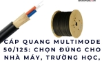 Cáp quang multimode 50/125: Chọn đúng cho nhà máy, trường học, bệnh viện