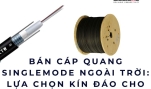 Bán cáp quang singlemode ngoài trời: lựa chọn kín đáo cho tuyến bền lâu