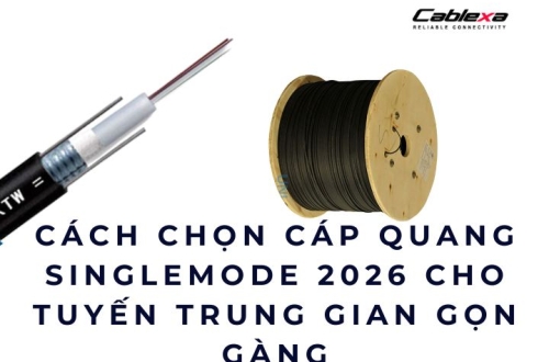 Cách chọn cáp quang singlemode 2026 cho tuyến trung gian gọn gàng