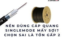 Nên dùng cáp quang singlemode mấy sợi? Chọn sai là tốn gấp 2