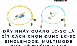 Dây nhảy quang LC-SC là gì? Cách chọn đúng LC-SC Singlemode, Multimode cho hệ thống mạng