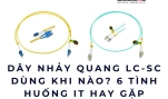 Dây nhảy quang LC-SC dùng khi nào? 6 tình huống IT hay gặp