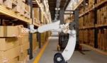Robot picking là gì và có vai trò gì trong kho hàng hiện đại?