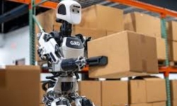 Tự động hóa kho là gì và có phải chỉ đơn giản là dùng robot?