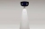 Robin Intelligent Robot giao đồ phòng là gì?