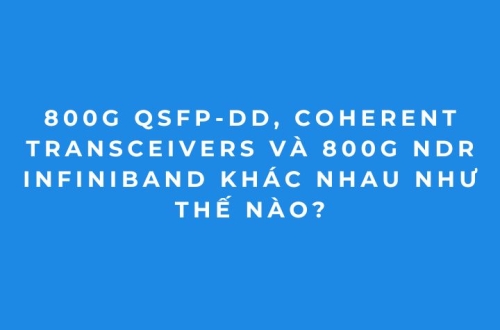So sánh 800G QSFP-DD, Coherent và 800G NDR InfiniBand 2026