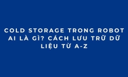 Cold Storage trong Robot AI là gì? Cách lưu trữ dữ liệu từ A-Z