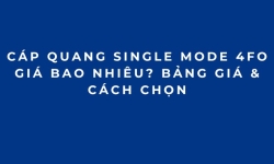 Cáp Quang Single Mode 4FO Giá Bao Nhiêu? Bảng Giá & Cách Chọn