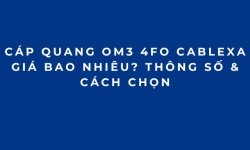 Cáp Quang OM3 4FO Cablexa Giá Bao Nhiêu? Thông Số & Cách Chọn